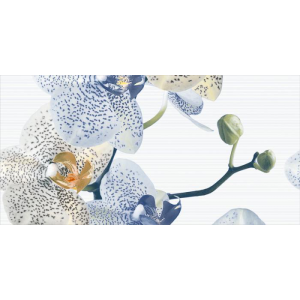 Gạch ốp tường Trường Thịnh GENESIS SERIES TT48078-1B